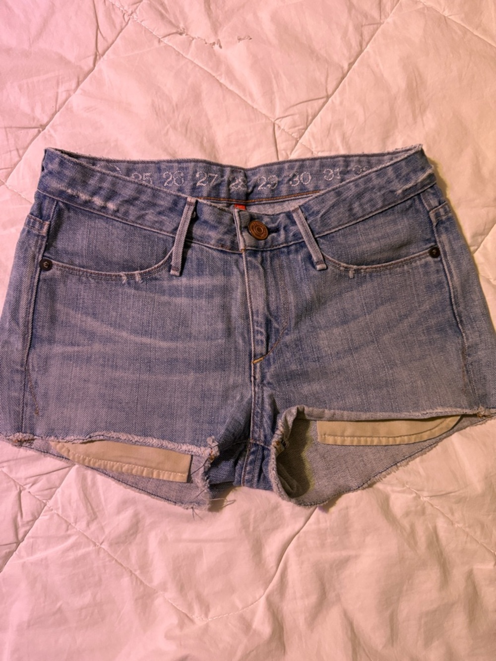 Earnest Sewn Denim Jean Shorts